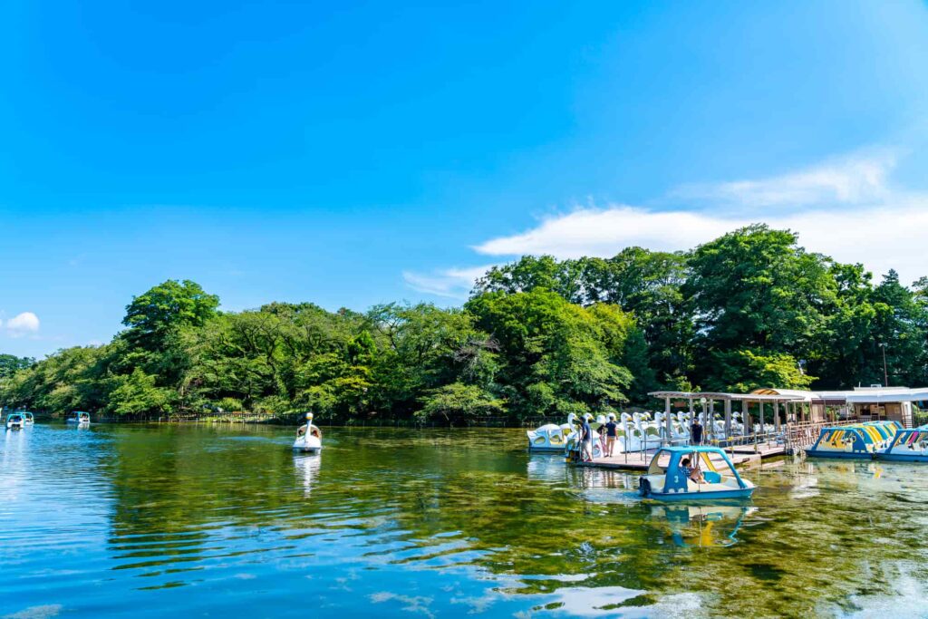 井の頭恩賜公園の池とスワンボート